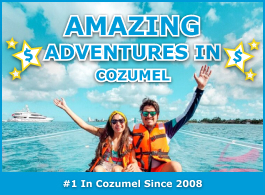 Cozumel Airport Transfers